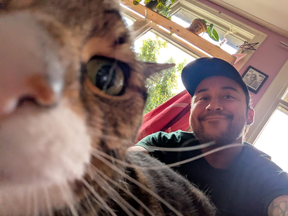 Bewegen door de mist